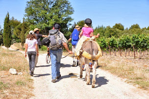 Photo n°10 de Camping à la ferme Roumavagi | Luberon à Cucuron (Terrain de camping)