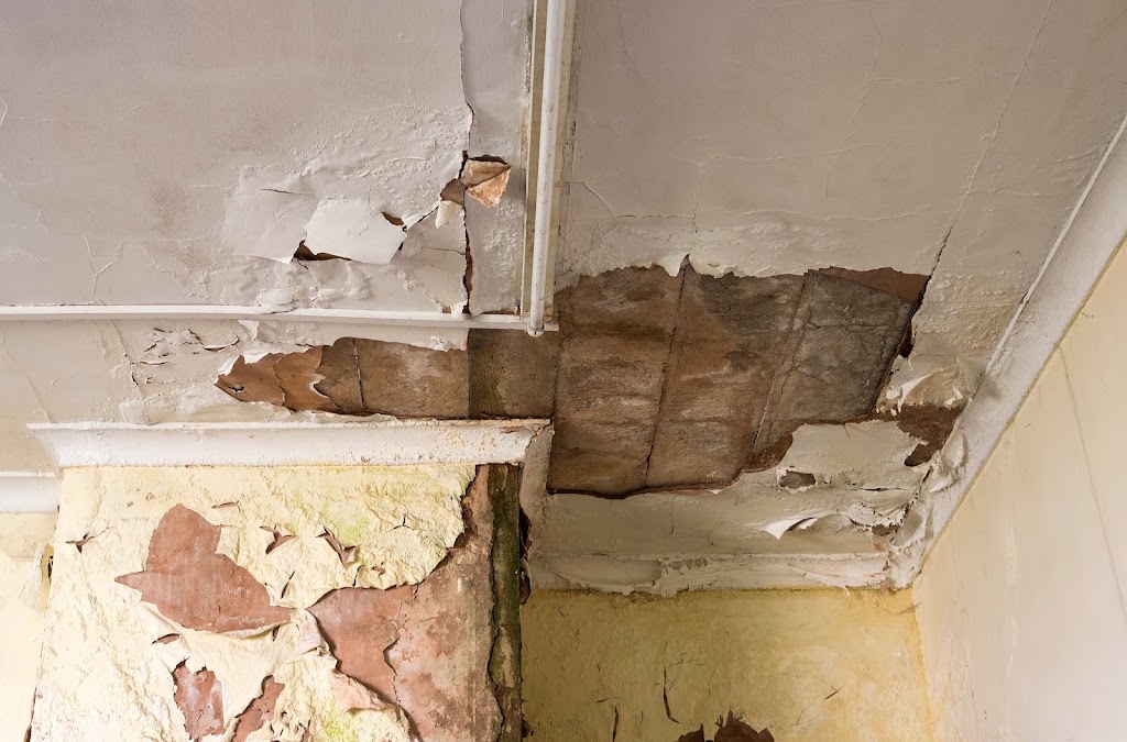 SJ Water Damage photo