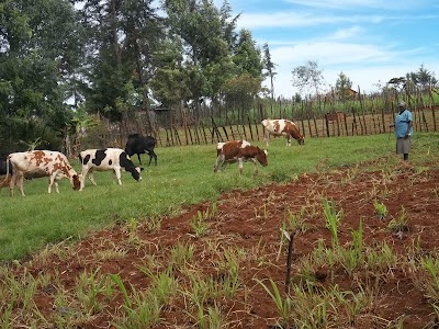 Photos of Kwambai Horticultural Farm