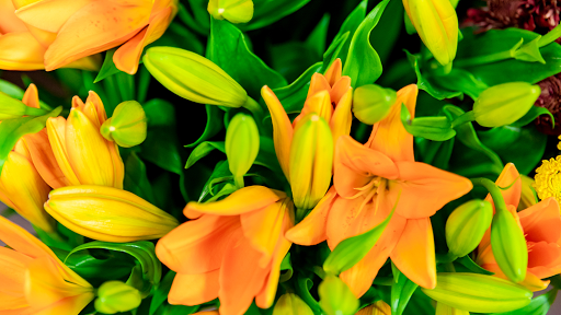 Majestic Flowers and Gifts - Thumbnail