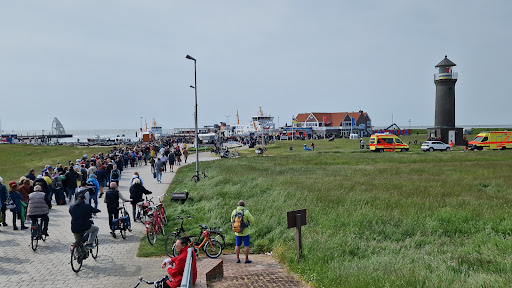 Inselmosaik Juist
