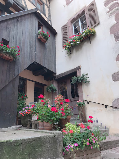 Photo de Best Western Hotel & Spa Le Schoenenbourg - Riquewihr - Alsace à Riquewihr (68340)