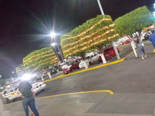 JAC Citelis Morelia - Thumbnail