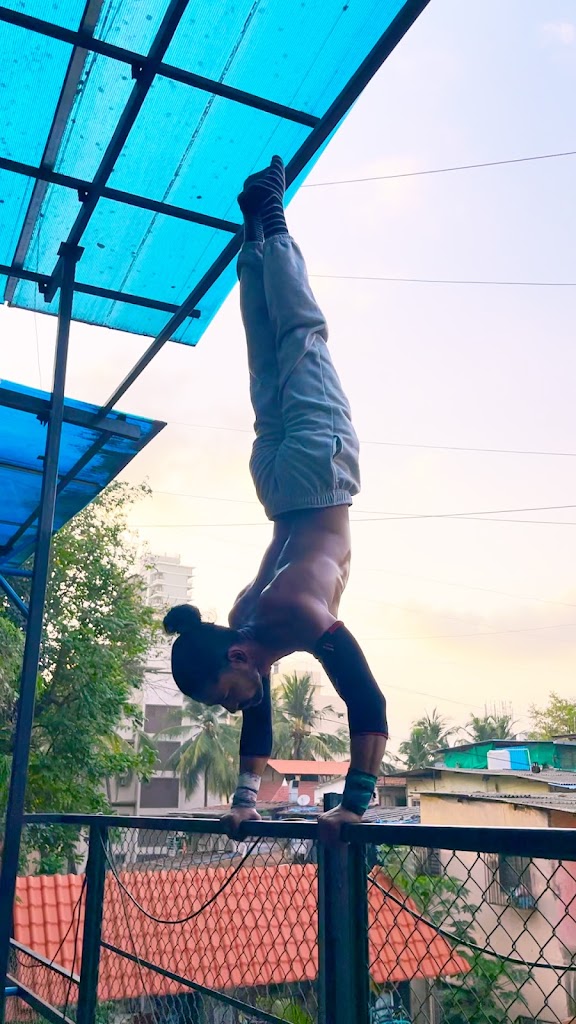 Bar Breed Calisthenics Park