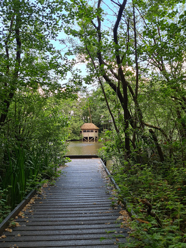 Fradley pool - Visual