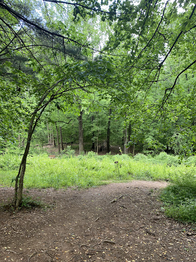 Nature Forward Gallery - United States