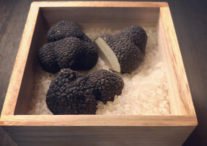 Kamakura Cocon Hotel by null