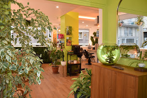 Photo n°4 de Salon raphaelle à Le Havre (Salon de coiffure)