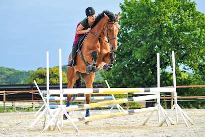 Photographe Pau - Meggane Photographies
