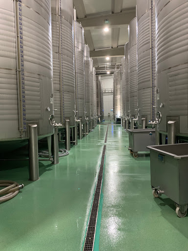 Diez Siglos de Verdejo Gallery - Spain