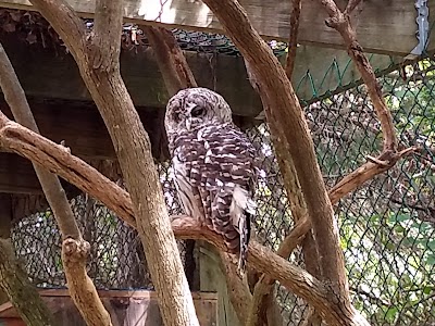 Chesapeake Bay Environmental Center