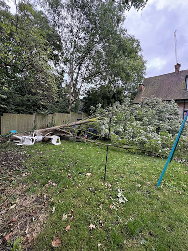 GX Tree Care & Fencing