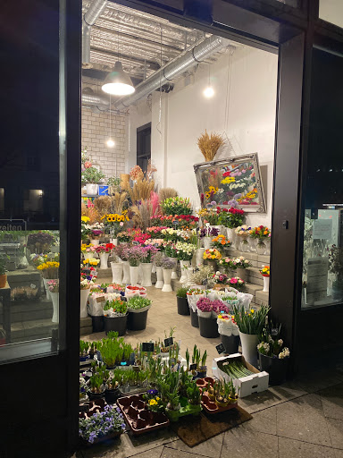 Cutin Blumen - Visual