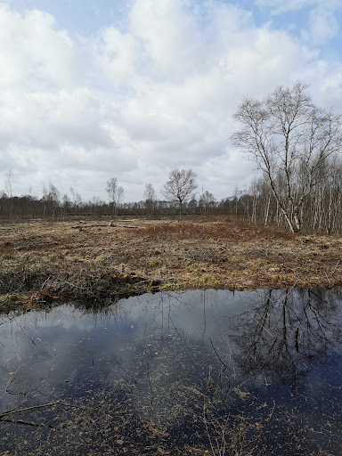 Bockhorner Moor