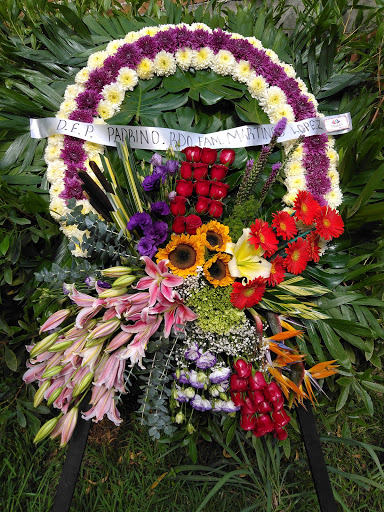 Hersan Florería - Visual