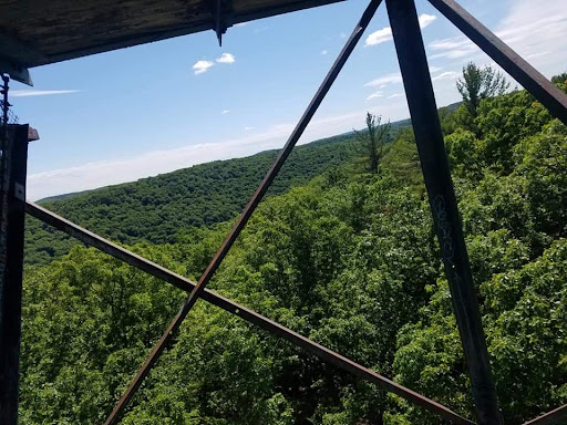 Cook Forest Tower - Thumbnail