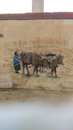 Villaralbo Museo