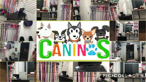 Caninos Punto Sur, Estética Canina - Thumbnail