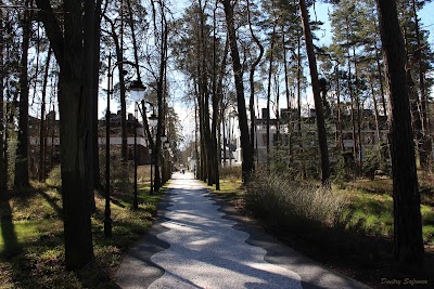 Photos of Jūrmalas piedzīvojumu parks "Tarzāns"