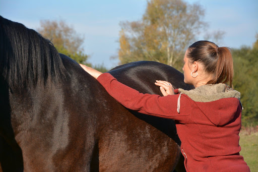 Agnès Beaufils - Ostéopathe pour animaux et Vétérinaire sur Nantes et sa région