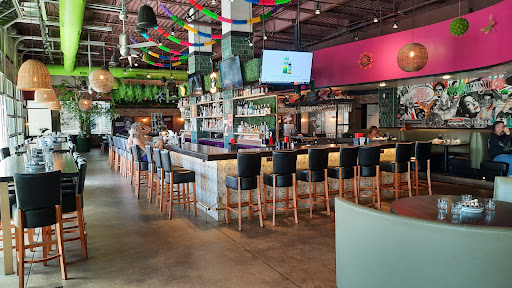 Agave Underground - Visual