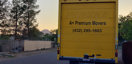 A+ Premium Movers - Visual