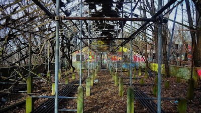 New York City Farm Colony