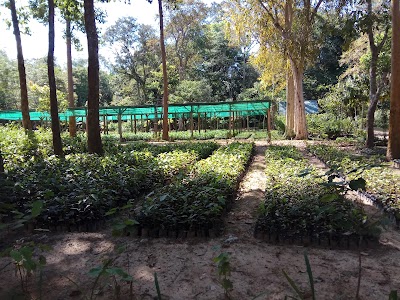 Photos of Linga Bar and Linga Spa