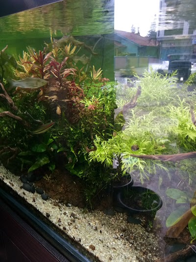 Photos of Aqua Deal Pekanbaru