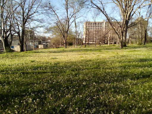Claiborne Park - Thumbnail