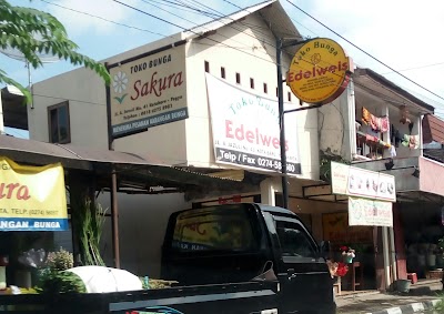 Photos of Sakura Florists