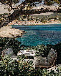 Photo n°36 de Le Loup Bar à Cassis (Restaurant méditerranéen)