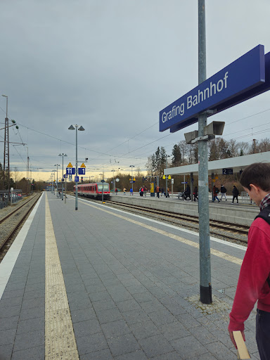 Grafing - Visual