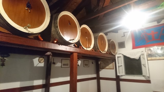 ΤΟ ΠΑΧΝΙ