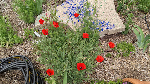 Lake Granbury Master Gardeners - Thumbnail