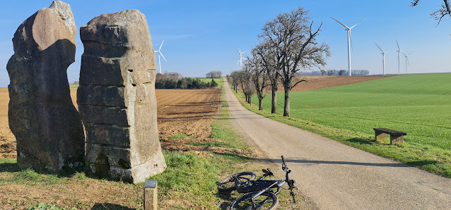 Grenzsteinweg Schwarzenholz Schloßpl. 1, 66793 Saarwellingen