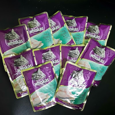 Photos of Kenzie Catshop