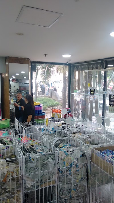 Photos of Tienda Alizz