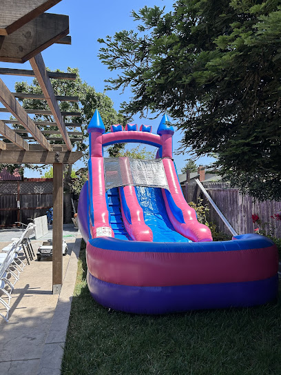 North Bay Jump pink bounce house with a slide rented in Santa Rosa, CA