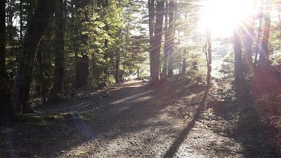 Photos of Possum Lodge