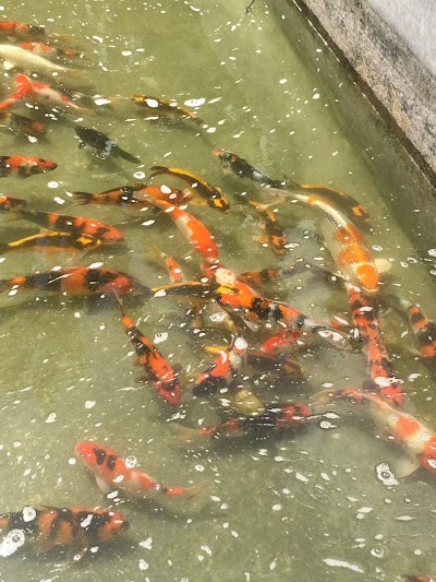 Photos of Akrimna Fish Center