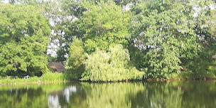 Photo n°9 de Château Sauvéméa à Arrosès (Salle de réception)