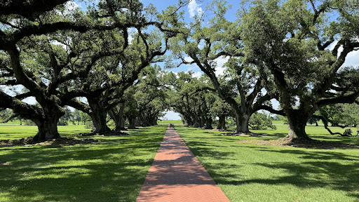Oak Alley