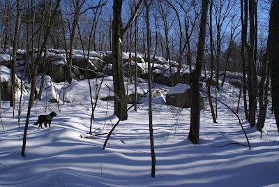 Snake Den State Park Trailhead Parking