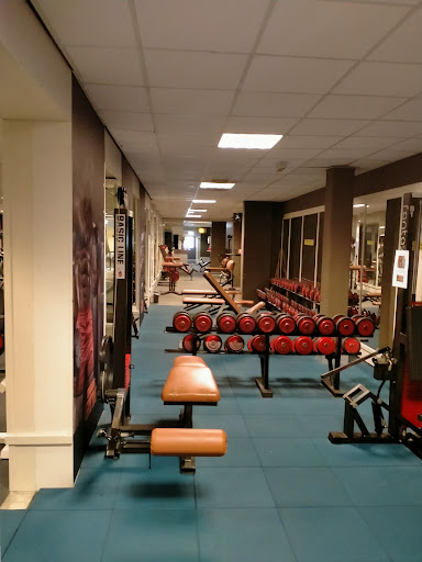 Greg's Gym