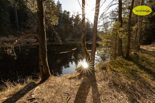 Schwarzer See - Visual