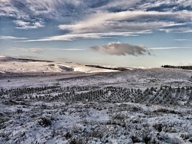 Queen's View Visitor Centre