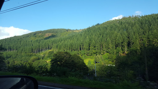 Dulas Valley - Thumbnail