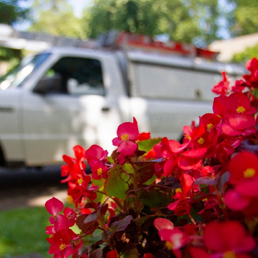 Richland Pest & Bee Control