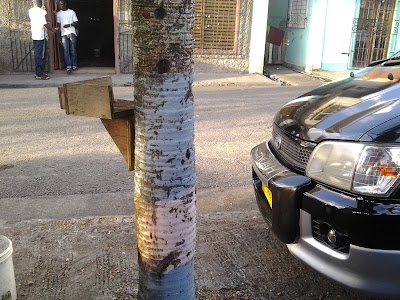 Photos of Mansa's Bar